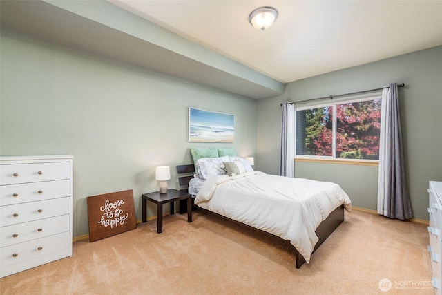 512 Darby Dr Unit 213, Bellingham, WA 98226 - bedroom featuring light carpet and baseboards