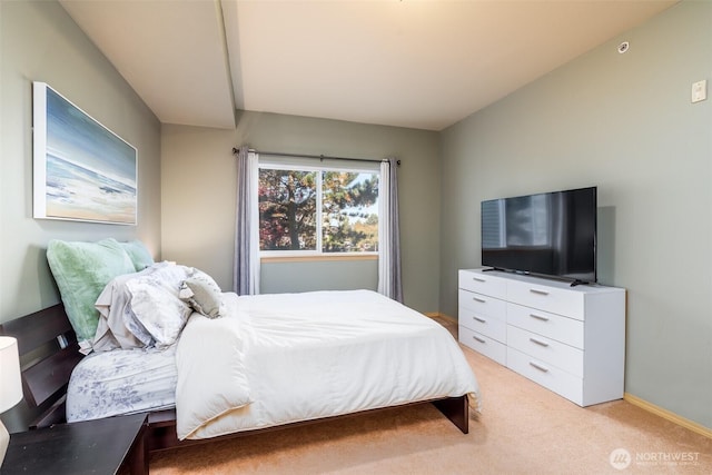 512 Darby Dr Unit 213, Bellingham, WA 98226 - bedroom featuring light carpet and baseboards