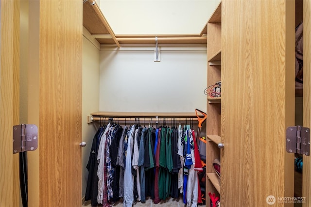 512 Darby Dr Unit 213, Bellingham, WA 98226 - view of walk in closet