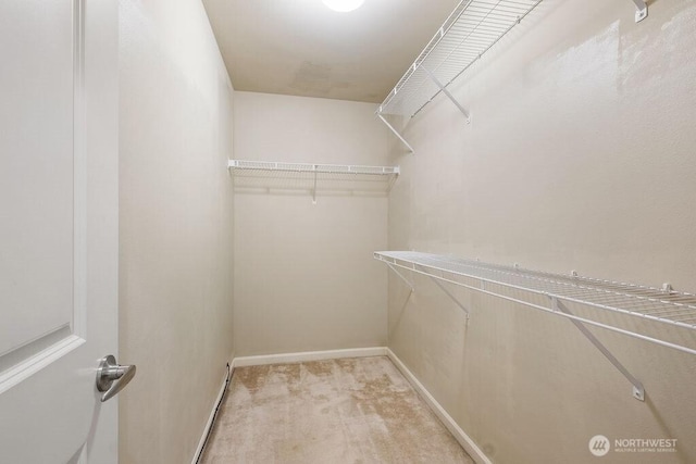 1353 32nd Pl NE, Auburn, WA 98002 - walk in closet with light carpet