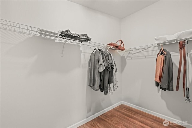 919 4th Ave N, Kent, WA 98032 - walk in closet with wood finished floors