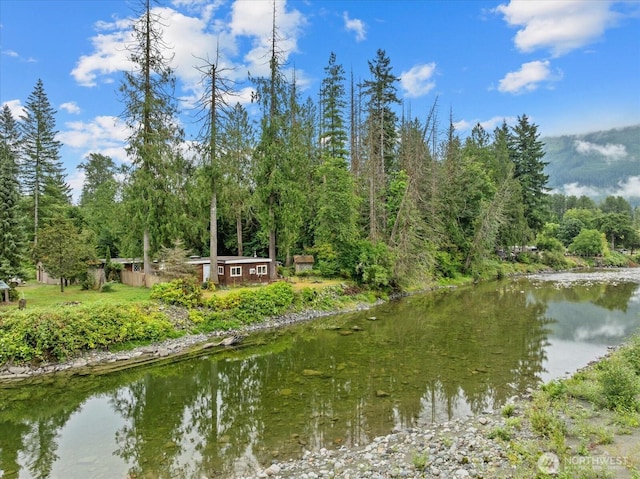 30710 223rd Ave NE, Arlington, WA 98223 - water view featuring a forest