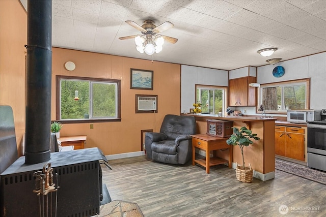 30710 223rd Ave NE, Arlington, WA 98223 - living area with a wood stove, wood finished floors, and a ceiling fan