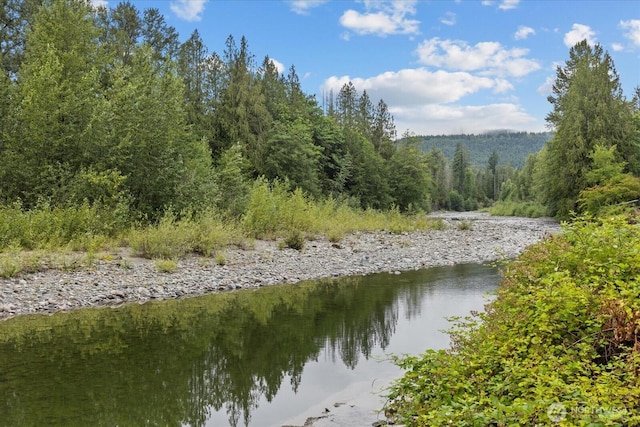30710 223rd Ave NE, Arlington, WA 98223 - water view with a forest