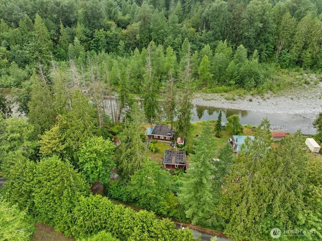 30710 223rd Ave NE, Arlington, WA 98223 - drone / aerial view of a nearby body of water and a forest