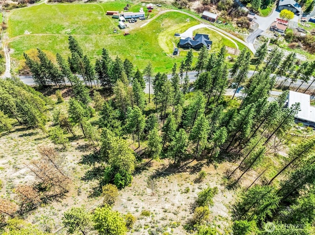 11200 Eagle Creek Rd, Leavenworth, WA 98826 - photo 2