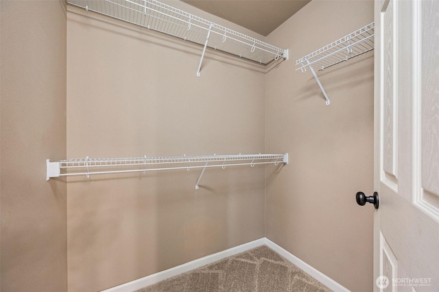 7726 162nd St E, Puyallup, WA 98375 - walk in closet with carpet
