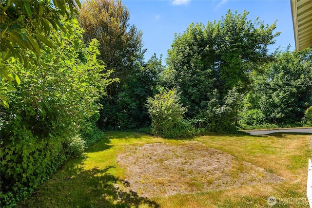 918 Arnold St, Aberdeen, WA 98520 - photo 29