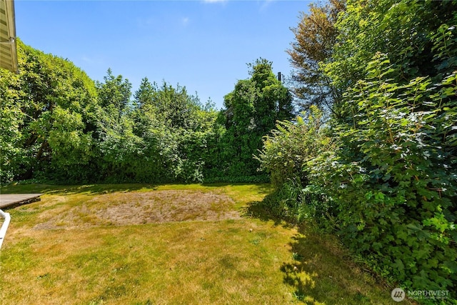 918 Arnold St, Aberdeen, WA 98520 - photo 30