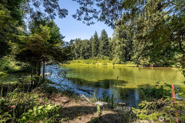14008 Brae Burn Rd, Leavenworth, WA 98826 - photo 2
