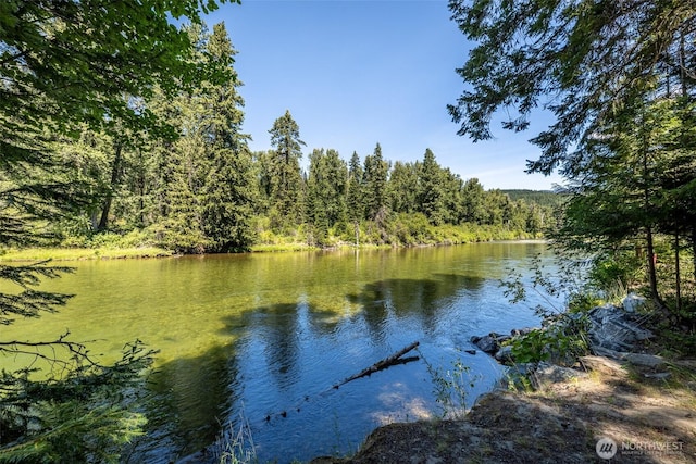 14008 Brae Burn Rd, Leavenworth, WA 98826 - photo 21