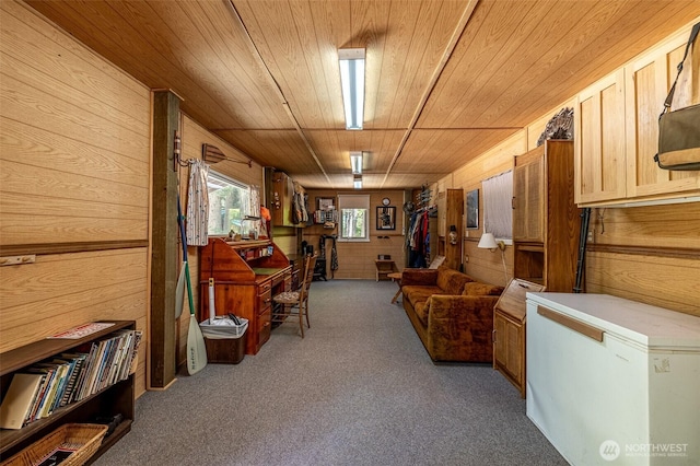 14008 Brae Burn Rd, Leavenworth, WA 98826 - photo 28