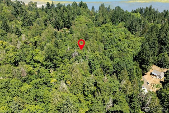 14802 Delano Rd SW, Lakebay, WA 98349