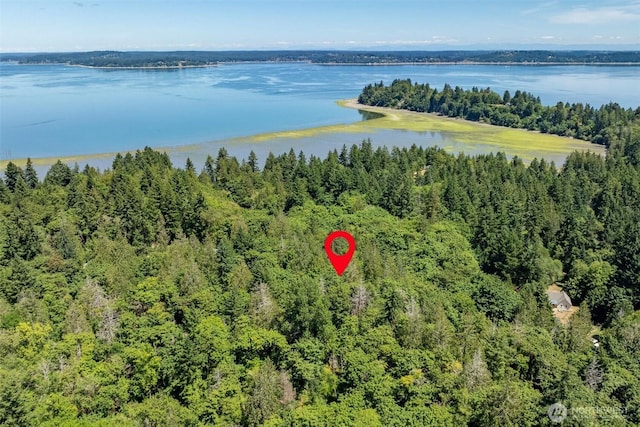 14802 Delano Rd SW, Lakebay, WA 98349