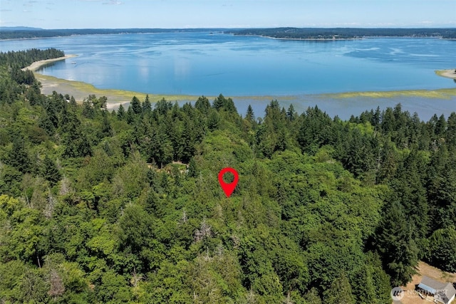 14802 Delano Rd SW, Lakebay, WA 98349
