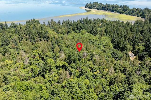 14802 Delano Rd SW, Lakebay, WA 98349