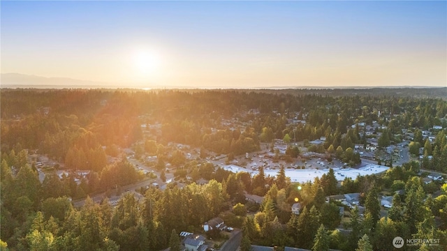 4204 230th Pl SW, Mountlake Terrace, WA 98043 - photo 35