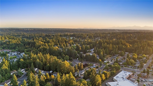 4204 230th Pl SW, Mountlake Terrace, WA 98043 - photo 38