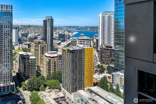 819 Virginia St Unit 1606, Seattle, WA 98101 - view of city with a large body of water