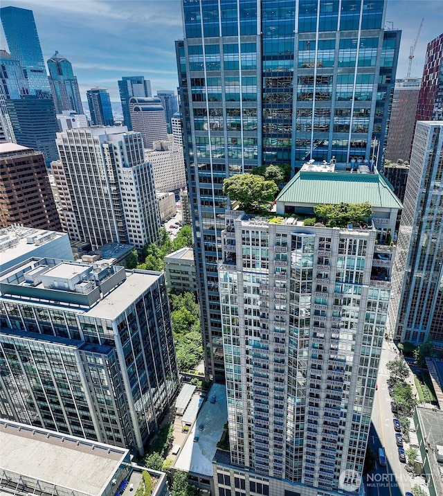 819 Virginia St Unit 1606, Seattle, WA 98101 - view of city