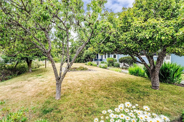 231 E 1st St, Port Angeles, WA 98362 - view of grassy yard