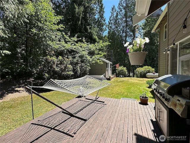 7527 Ames Lake-Carnation Rd NE, Carnation, WA 98014 - photo 13