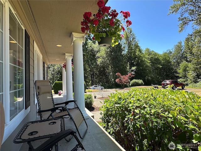 7527 Ames Lake-Carnation Rd NE, Carnation, WA 98014 - photo 3