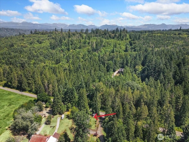 7527 Ames Lake-Carnation Rd NE, Carnation, WA 98014 - photo 26