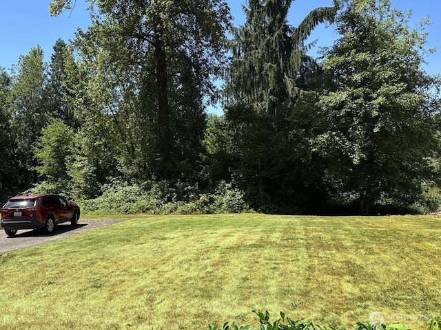 7527 Ames Lake-Carnation Rd NE, Carnation, WA 98014 - photo 4