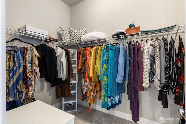 4490 Albatross St, Port Townsend, WA 98368 - spacious closet featuring carpet floors