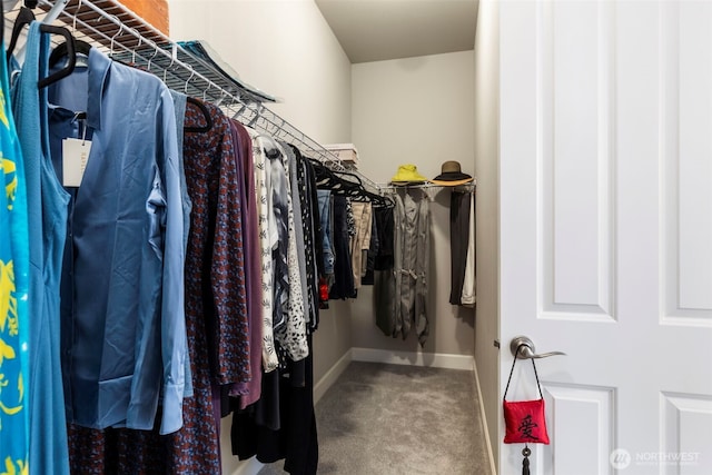 4490 Albatross St, Port Townsend, WA 98368 - walk in closet featuring carpet flooring