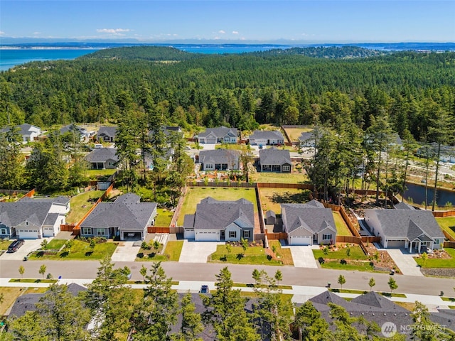 4490 Albatross St, Port Townsend, WA 98368 - aerial view of residential area featuring a heavily wooded area and a large body of water