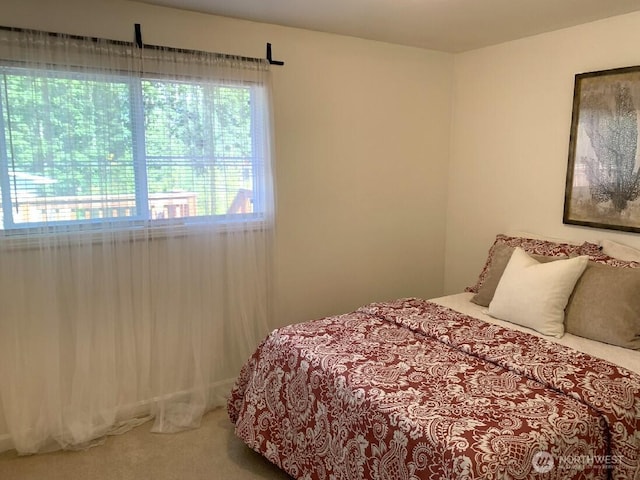 5910 21st Ave SW, Seattle, WA 98106 - view of carpeted bedroom
