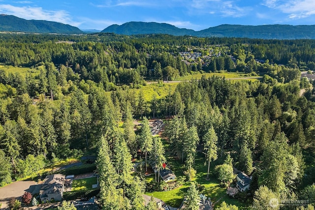23350 SE 22nd St, Sammamish, WA 98075 - view of mountain background with a heavily wooded area