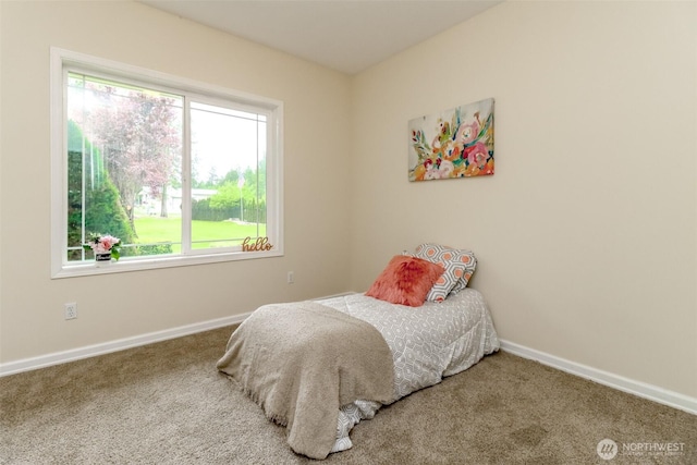 161 Malinka Ln, Chehalis, WA 98532 - photo 16