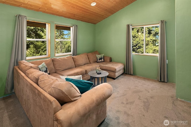 61 Tom And Nita Rd, Cle Elum, WA 98922 - carpeted living area with vaulted ceiling and wood ceiling