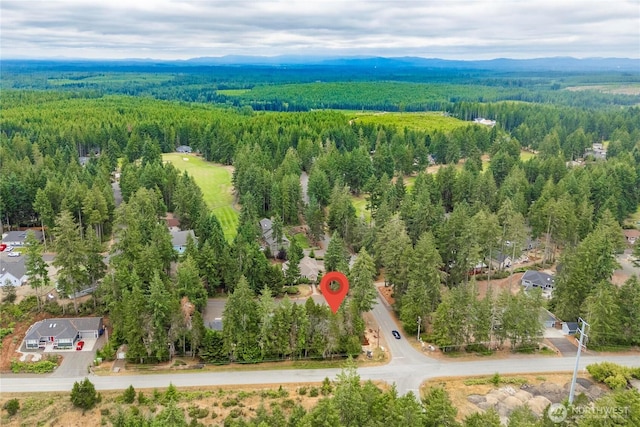11 E Flaggwood Ln, Union, WA 98592 - photo 26