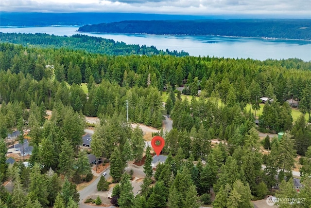 11 E Flaggwood Ln, Union, WA 98592 - photo 27