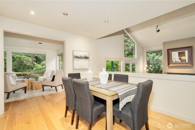 22526 53rd Ave SE, Bothell, WA 98021 - dining area featuring light wood finished floors, rail lighting, and lofted ceiling