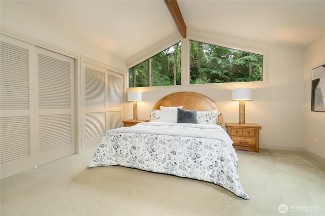 22526 53rd Ave SE, Bothell, WA 98021 - bedroom with carpet, multiple windows, and two closets