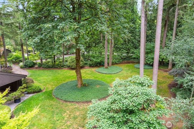 22526 53rd Ave SE, Bothell, WA 98021 - view of green lawn
