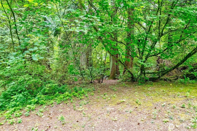 22526 53rd Ave SE, Bothell, WA 98021 - view of undeveloped land