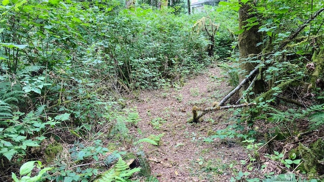 22526 53rd Ave SE, Bothell, WA 98021 - view of undeveloped land