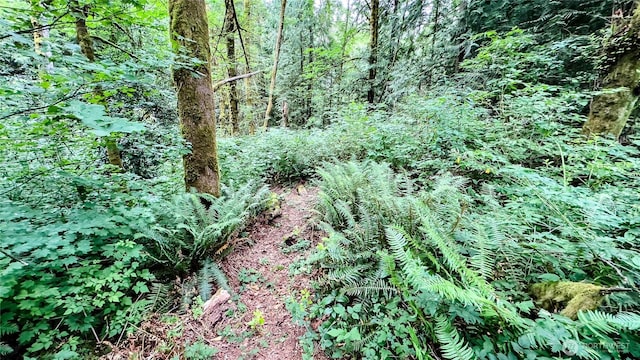 22526 53rd Ave SE, Bothell, WA 98021 - view of tree filled area