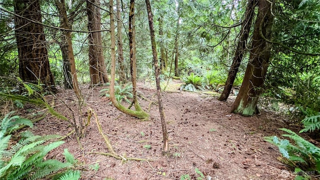 22526 53rd Ave SE, Bothell, WA 98021 - view of undeveloped land