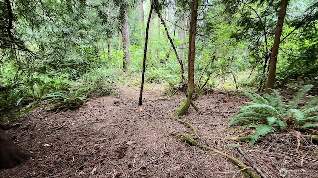 22526 53rd Ave SE, Bothell, WA 98021 - view of wooded area