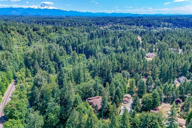 15666 SE 303rd Pl, Kent, WA 98042 - photo 2