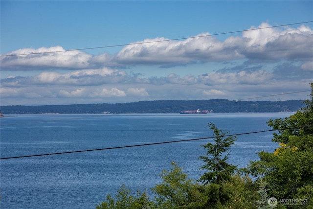 571 N Bay Way, Port Ludlow, WA 98365 - photo 33