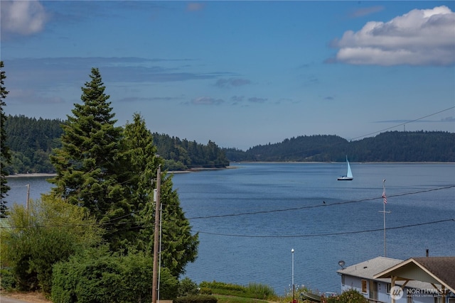 571 N Bay Way, Port Ludlow, WA 98365 - photo 36