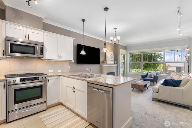1000 High St Unit 102, Bellingham, WA 98225 - kitchen featuring stainless steel appliances, rail lighting, open floor plan, ornamental molding, and white cabinetry